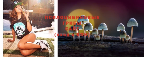 Альфа ПВП Армянск